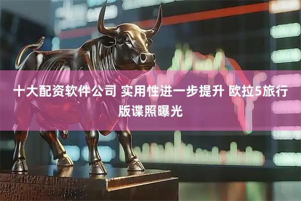 十大配资软件公司 实用性进一步提升 欧拉5旅行版谍照曝光